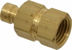 Coilhose Pneumatics - 1/4-18" NPT, 1/4" Body Diam, Coolant & Fluid Line Female Connectors - Brass - Exact Tooling