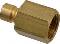 Coilhose Pneumatics - 1/2-14" NPT, 3/8" Body Diam, Coolant & Fluid Line Female Connectors - Brass - Exact Tooling