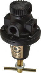 Coilhose Pneumatics - 1/4 NPT Port, 40 CFM, Cast Aluminum Heavy-Duty T-Handle Regulator - 0 to 125 psi Range, 250 Max psi Supply Pressure, 1/4" Gauge Port Thread, 3" Wide x 5-1/2" High - Exact Tooling