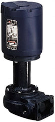 Graymills - 115 Volt, 1/6 hp, 1 Phase, 3,450 RPM, Cast Iron Flanged Outside Suction Machine Tool & Recirculating Pump - 7-1/2" Long x 4-1/2" Mounting Flange Width, NPT Thread, Glass Filled Celcon Impeller - Exact Tooling