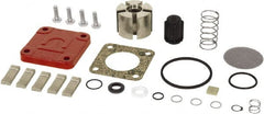 Tuthill - Repair Part Kit - For Use with Diaphragm Pumps - Exact Tooling