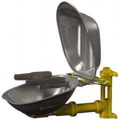 Bradley - Wall Mount, Stainless Steel Bowl, Eye & Face Wash Station - Exact Tooling