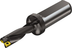 Sandvik Coromant - 42mm Max Drill Depth, 3xD, 13mm Diam, Indexable Insert Drill - 2 Inserts, 20mm Shank Diam, Flange Shank - Exact Tooling