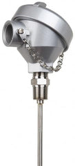 Thermo Electric - -148 to 900°F, 100 OMS Industrial RTD, Thermocouple Probe - 1/2 Inch Hex Mount, 12 Inch Probe Sheath Length, 10 Sec Response Time - Exact Tooling