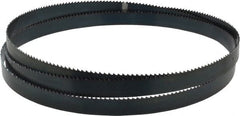 Starrett - 6 TPI, 7' 9" Long x 3/4" Wide x 0.032" Thick, Welded Band Saw Blade - Carbon Steel, Toothed Edge, Raker Tooth Set, Flexible Back, Contour Cutting - Exact Tooling