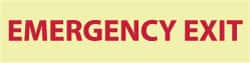 NMC - Emergency Exit, Pressure Sensitive Vinyl Exit Sign - 12" Wide x 3" High, Glow-in-the-Dark - Exact Tooling