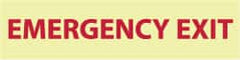 NMC - Emergency Exit, Pressure Sensitive Vinyl Exit Sign - 12" Wide x 3" High, Glow-in-the-Dark - Exact Tooling