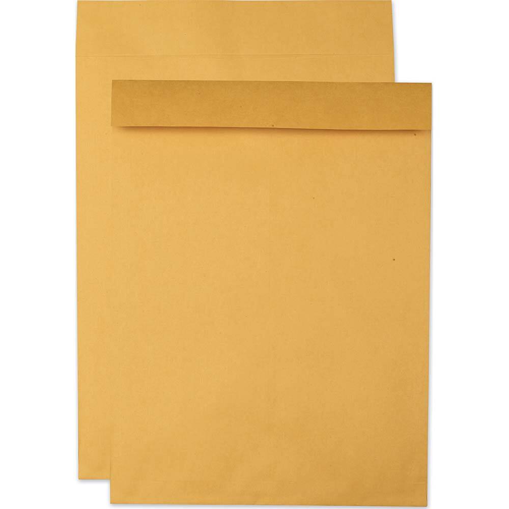 Quality Park - Mailers, Sheets & Envelopes; Type: Jumbo Envelope ; Style: Fold Flap ; Width (Inch): 22 ; Length (Inch): 17 ; Box Quantity: 25 ; Size: 17 x 22 - Exact Tooling