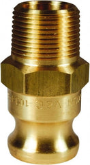 Dixon Valve & Coupling - 3/4" Brass Cam & Groove Suction & Discharge Hose Male Adapter Male NPT Thread - Part F, 3/4" Thread, 250 Max psi - Exact Tooling