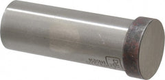 Dayton Lamina - 7/8" Head Diam, 3/4" Shank Diam, Basic Head, A2 Grade Tool Steel, Solid Mold Die Blank & Punch - 1/4" Head Height, 2-1/4" OAL, Blank Punch, Regular (KPB) Series - Exact Tooling