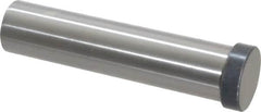 Dayton Lamina - 7/8" Head Diam, 3/4" Shank Diam, Basic Head, M2 Grade High Speed Steel, Solid Mold Die Blank & Punch - 1/4" Head Height, 3-1/2" OAL, Blank Punch, Regular (KPB) Series - Exact Tooling