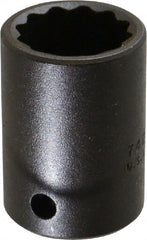 Proto - 1/2" Drive 13/16" Standard Impact Socket - 12 Points, 1-5/8" OAL - Exact Tooling