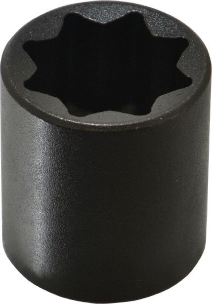 Proto - 1/2" Drive 13/16" Standard Impact Socket - 8 Points, 1-1/2" OAL - Exact Tooling