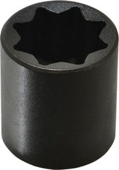 Proto - 1/2" Drive 13/16" Standard Impact Socket - 8 Points, 1-1/2" OAL - Exact Tooling