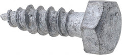 Value Collection - 1/4" Screw, 1" Length Under Head, Steel, Hex Head Lag Screw - Hot Dipped Galvanized, Grade 2 - Exact Tooling
