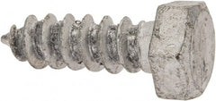 Value Collection - 5/16" Screw, 1" Length Under Head, Steel, Hex Head Lag Screw - Hot Dipped Galvanized, Grade 2 - Exact Tooling