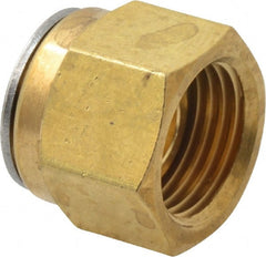 Ham-Let - 3/8" OD, Brass Plug - Comp Ends - Exact Tooling