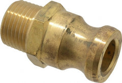 EVER-TITE Coupling Products - 1/2" Brass Cam & Groove Suction & Discharge Hose Male Adapter Male NPT Thread - Part F, 1/2" Thread, 350 Max psi - Exact Tooling