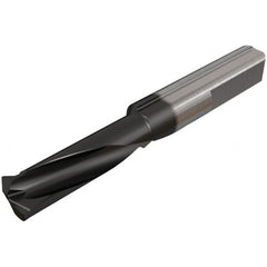 Iscar - 18mm Cutting Depth, 6mm Diam, Internal/External Thread, Solid Carbide, Single Point Threading Tool - TiAlN/TiN Finish, 40mm OAL, 6mm Shank Diam, 0.06" Projection from Edge, 0.5 to 1mm Pitch, 60° Profile Angle - Exact Tooling