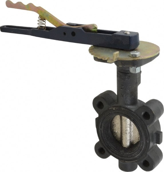 NIBCO - 2" Pipe, Lug Butterfly Valve - Lever Handle, Ductile Iron Body, EPDM Seat, 250 WOG, Ductile Iron Disc, Stainless Steel Stem - Exact Tooling