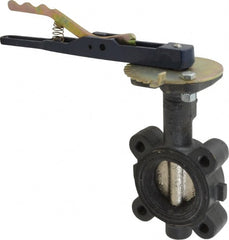 NIBCO - 2" Pipe, Lug Butterfly Valve - Lever Handle, Ductile Iron Body, EPDM Seat, 250 WOG, Ductile Iron Disc, Stainless Steel Stem - Exact Tooling