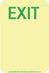 NMC - Exit, Polyester Exit Sign - 4" Wide x 6" High, Glow-in-the-Dark - Exact Tooling