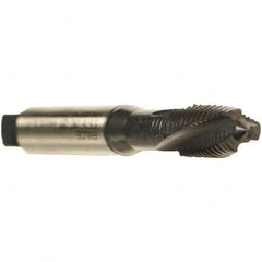Emuge - #1-64 UNC 2 Flute 3BX Plug Spiral Flute Tap - Cobalt, Oxide Finish, 1.772" OAL, Left Hand Flute, Right Hand Thread, Series Rekord C - Exact Tooling