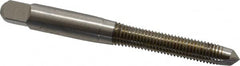 Hertel - M6x1.00 Metric Coarse, D2, 2 Flutes, Plug Chamfer, Bright Finish, High Speed Steel Spiral Point STI Tap - 2-23/32" OAL - Exact Tooling