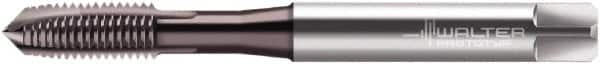 Walter-Prototyp - #5-40 UNC 3 Flute 2B Plug Spiral Point Tap - High Speed Steel, Hardlube Finish, Right Hand Thread, Series AEP2221002 - Exact Tooling