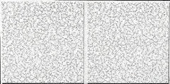 Armstrong World - 48" Long x 24" Wide, Wet-Formed Mineral Fiber Acoustic Ceiling Tile - ASTM E1264 Specification, White - Exact Tooling