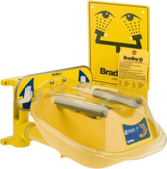 Bradley - Wall Mount, Plastic Bowl, Eye & Face Wash Station - Exact Tooling