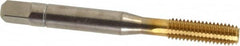 Balax - M6x1.00 Metric Coarse 6H D9 Thread Limit Bottoming Thread Forming Tap - Powdered Metal High Speed Steel, TiN Finish, 2-1/2" OAL, 0.79" Thread Length, Right Hand Thread, Series BXSTAINLESS - Exact Tooling