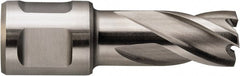Fein - 7/16" Diam x 1" Deep High Speed Steel Annular Cutter - Exact Tooling
