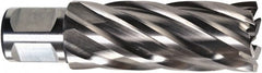 Fein - 5/8" Diam x 2" Deep High Speed Steel Annular Cutter - Exact Tooling