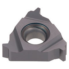 22ER50TR T313V TUNGTHREAD INS LD G - Exact Tooling