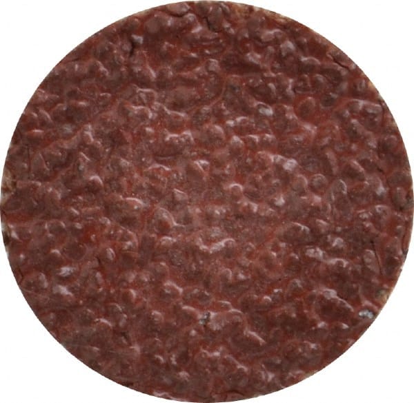 Tru-Maxx - 1" Disc Diam, 24 Grit, Aluminum Oxide Quick Change Disc - Type S Attaching System, Coated, Brown, Very Coarse Grade, 30,000 RPM - Exact Tooling