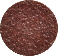 Tru-Maxx - 1" Disc Diam, 24 Grit, Aluminum Oxide Quick Change Disc - Type S Attaching System, Coated, Brown, Very Coarse Grade, 30,000 RPM - Exact Tooling