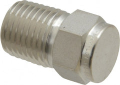 Ham-Let - 1/4" Grade 316 Stainless Steel Pipe Plug - MNPT End Connections, 7,500 psi - Exact Tooling