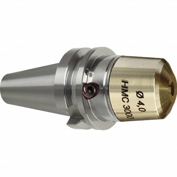 Guhring - BT30 HMC3000 28mm Shank Diam Taper Shank, 4mm Hole Diam, Hydraulic Tool Holder/Chuck - 55mm Projection, 34mm Clamp Depth, 30,000 RPM - Exact Tooling