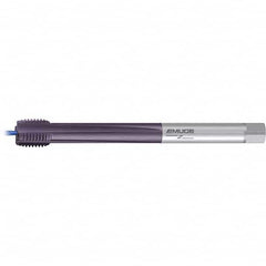 Emuge - Extension Taps Thread Size: M30x3.5 Overall Length (mm): 270.00 - Exact Tooling