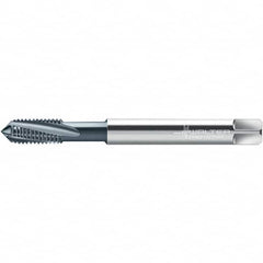 Walter-Prototyp - Spiral Flute Tap - - Exact Tooling