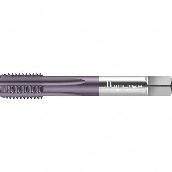 Walter-Prototyp - Straight Flute Taps Tap Type: Machine Tap Thread Size (Inch): 1/2-13 - Exact Tooling