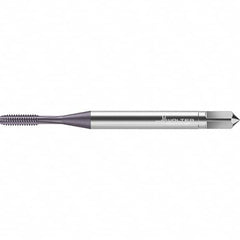 Walter-Prototyp - Straight Flute Taps Tap Type: Machine Tap Thread Size (Inch): #2-56 - Exact Tooling