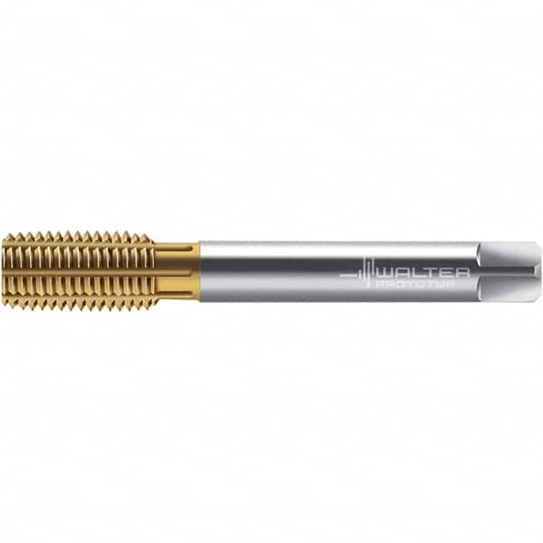 Walter-Prototyp - M12x1.75 DIN 2174 6GX 11.280 Thread Limit Semi-Bottoming Thread Forming Tap - Powdered Metal High Speed Steel, TiN Finish, 110mm OAL, 16mm Thread Length, Right Hand Thread, Series TC430 - Exact Tooling
