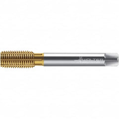 Walter-Prototyp - M14x1.50 DIN 2174 6HX 13.370 Thread Limit Semi-Bottoming Thread Forming Tap - Powdered Metal High Speed Steel, TiN Finish, 100mm OAL, 15mm Thread Length, Right Hand Thread, Series TC420 - Exact Tooling