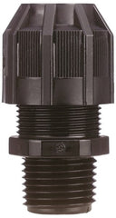 Thomas & Betts - 1/2 to 3/4" Cable Capacity, Liquidtight, Straight Strain Relief Cord Grip - 3/4 NPT Thread, 2-3/16" Long, Nylon - Exact Tooling