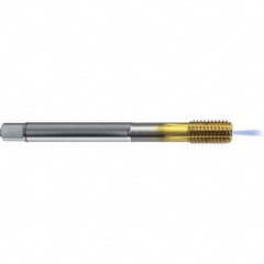 Guhring - 5/8-11 UNC 2BX H11/H12 Thread Limit Bottoming Thread Forming Tap - High Speed Steel, TiN Finish, 4.331" OAL, Right Hand Thread, Series 4383 - Exact Tooling