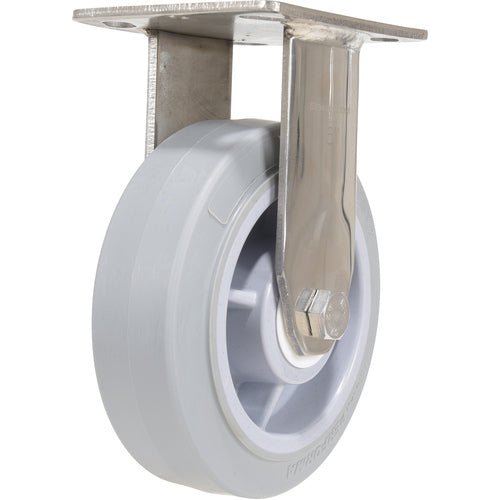 6 × 2 TPR SS Rig Rigid Caster - Exact Tooling