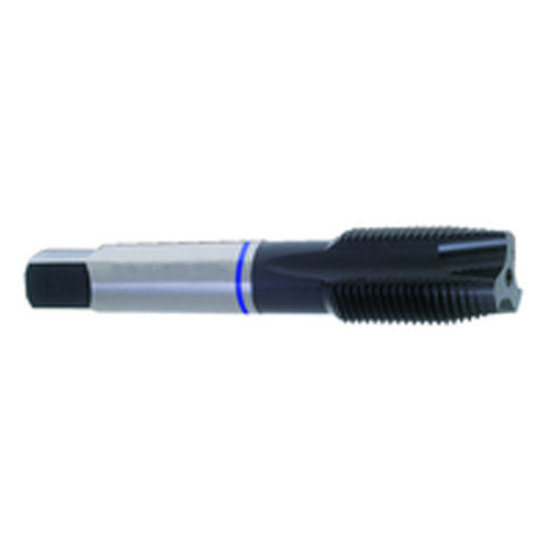 ‎12-24 Dia-H3-3 FL-Std Spiral Point Tap-Blue Ring - Exact Tooling