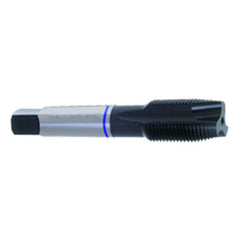 ‎12-24 Dia-H3-3 FL-Std Spiral Point Tap-Blue Ring - Exact Tooling